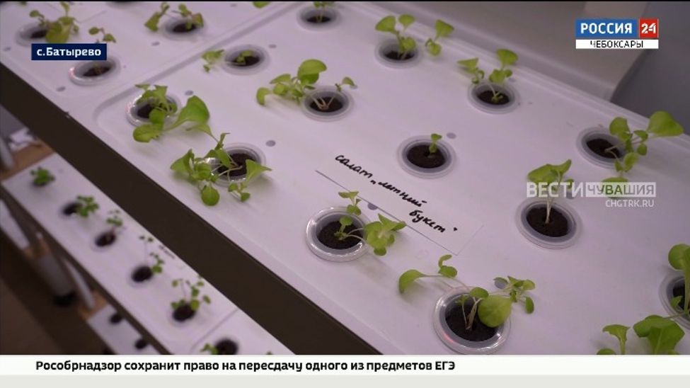 В Батыревской школе №2 открылись агротехклассы