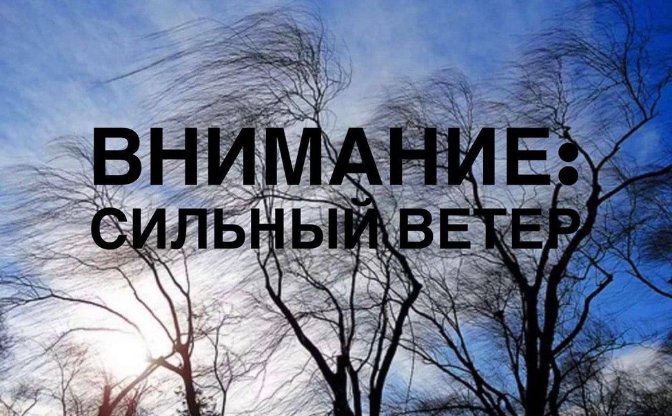 Спасатели предупреждают жителей Чувашии о шквальном ветре и гололедице