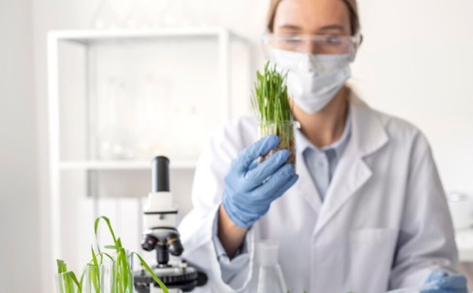 Чувашский аграрный университет подключается к инновационному проекту 