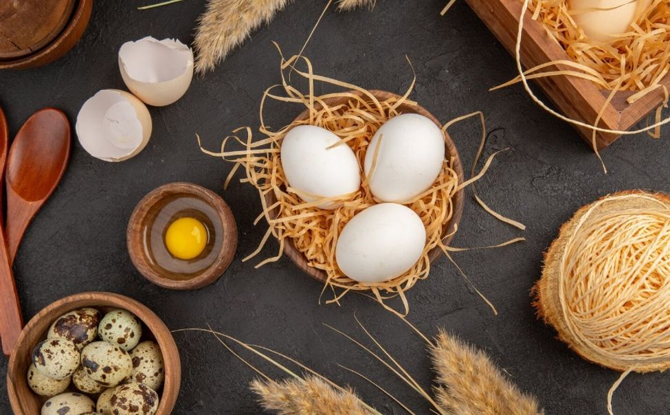 В Чувашии с начала года произвели почти 460 млн яиц