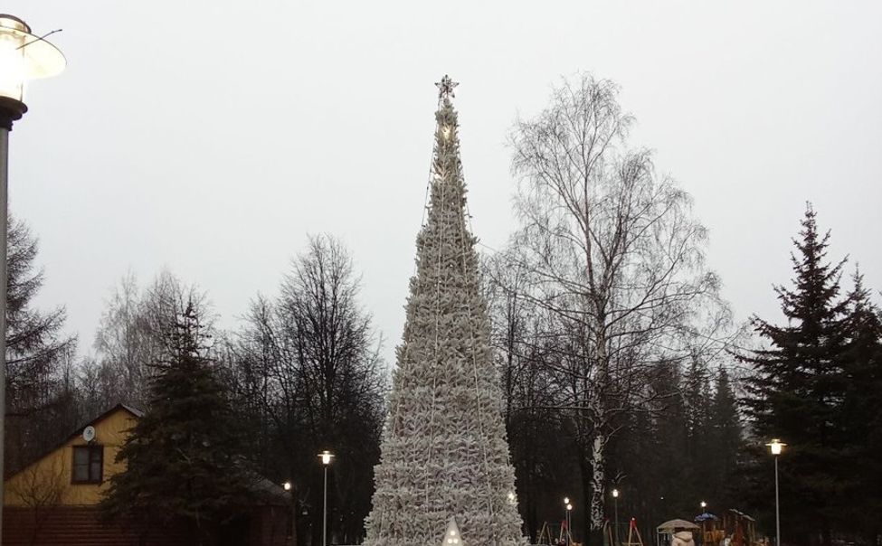 В чебоксарском Дорисс-парке установили белую красавицу
