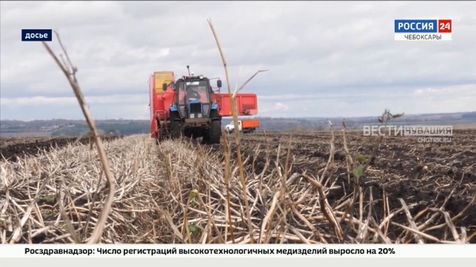 Чувашия и Узбекистан реализуют совместные проекты