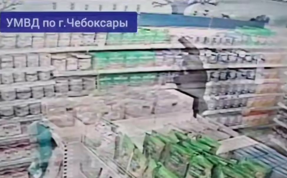 В Чебоксарах полицейские раскрыли серию краж детского питания из магазинов В Чебоксарах полицейские раскрыли серию краж детского питания из магазинов