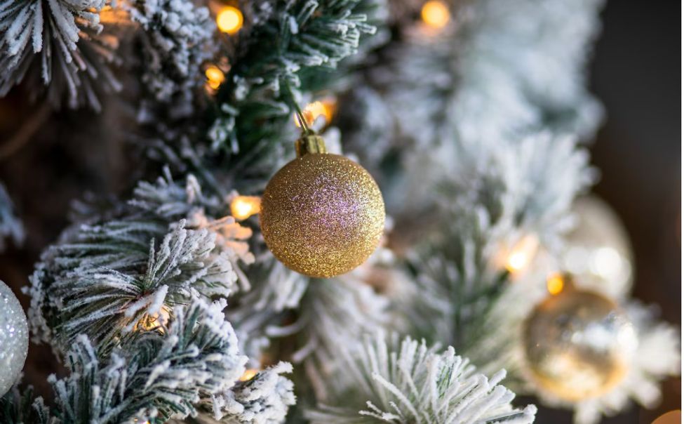 В Чебоксарах заработали  ёлочные базары