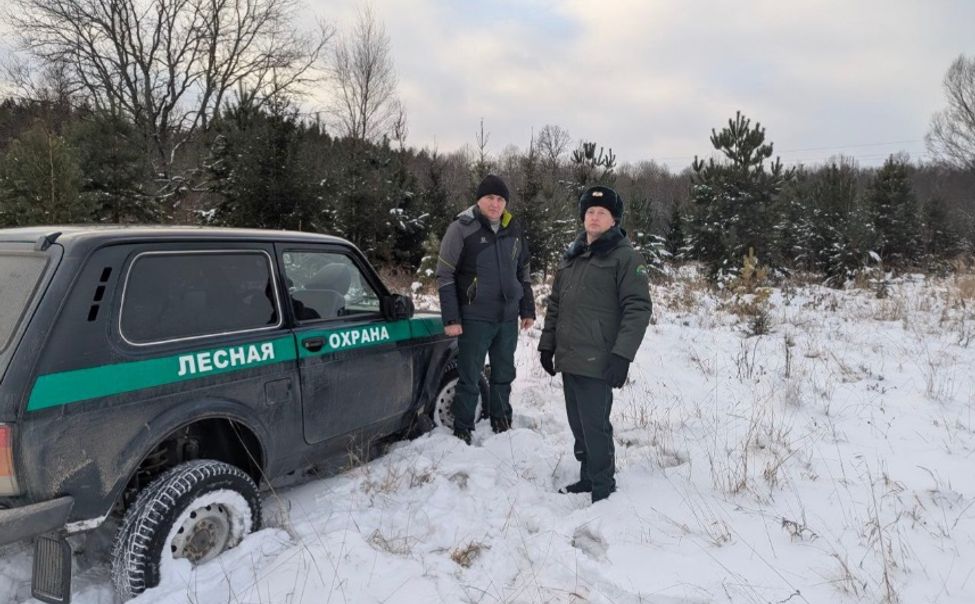 В Чувашии стартовал усиленный режим охраны лесов В Чувашии стартовал усиленный режим охраны лесов