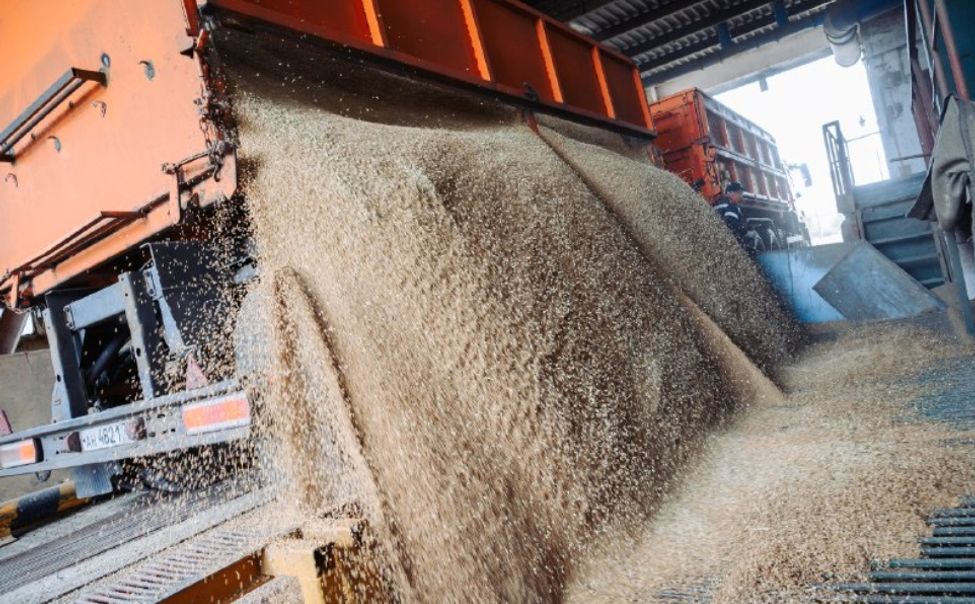 В 2025 году Чувашия отправила за рубеж более 10 тысяч тонн зерна