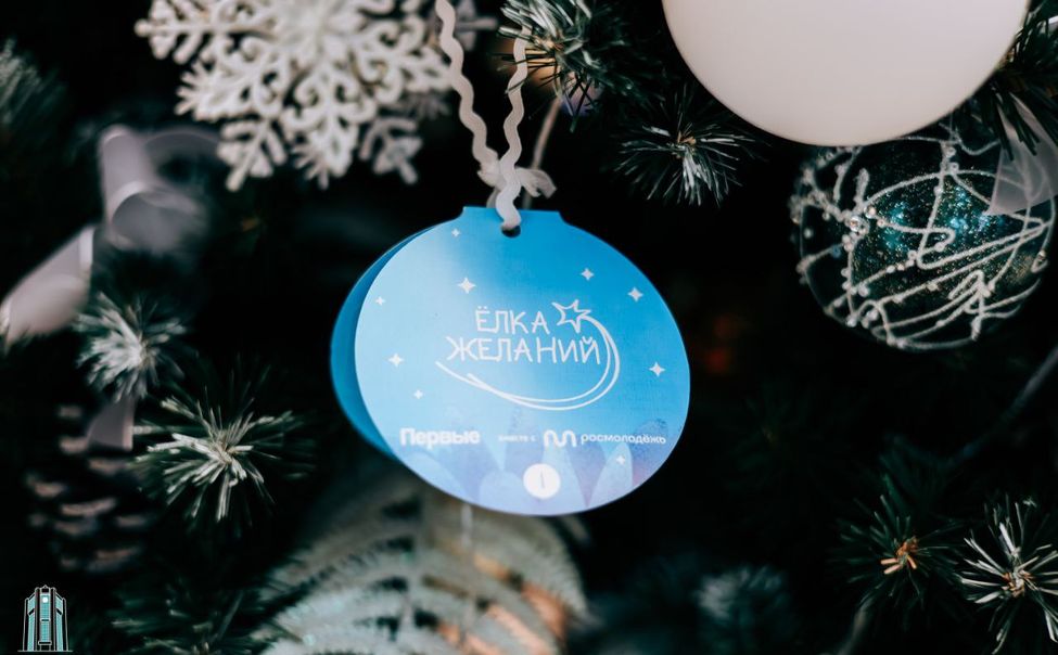 Чувашия присоединилось к акции «Ёлка желаний» 