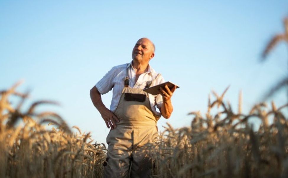 Глава Чувашии рассказал о приоритетах развития АПК до 2030 года