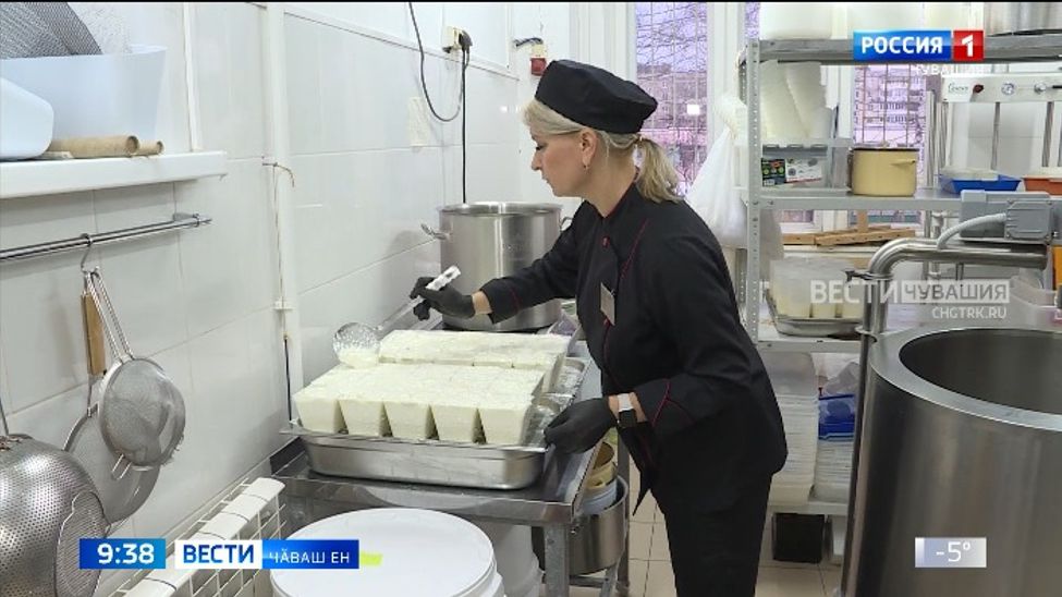 Паян тӗнчипех сыр юратакансен кунне паллӑ тӑваҫҫӗ