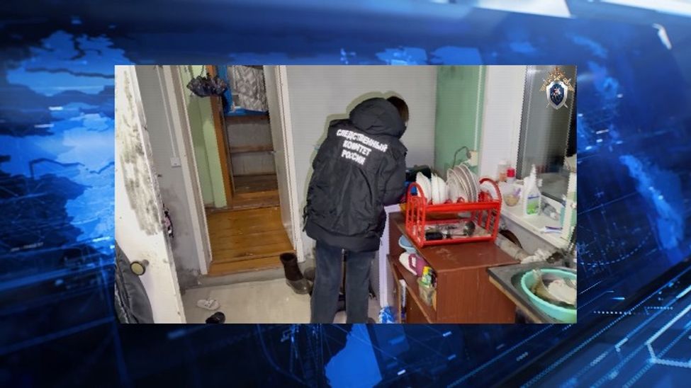 Жительница Красноармейского округа зарезала супруга