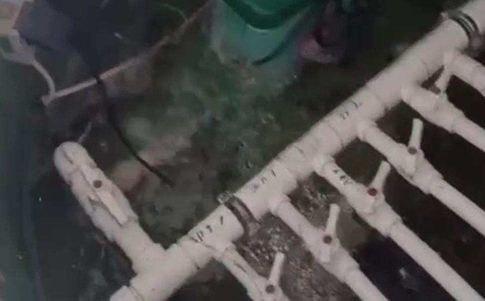 Только после вмешательства прокуратуры в Моргаушском округе полноценно заработали очистные