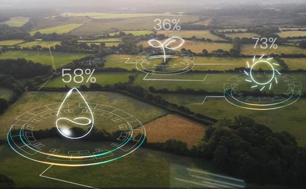 Чувашия вошла в пятерку лидеров по цифровой трансформации АПК 