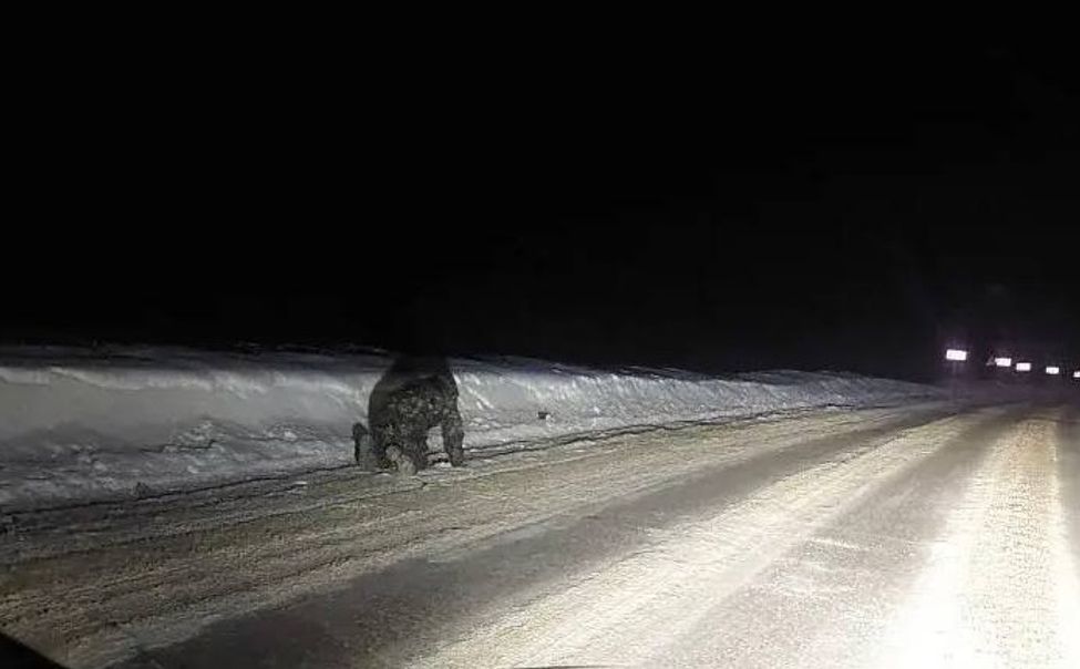 В Вурнарском районе 15-летний водитель убегал от ГАИ