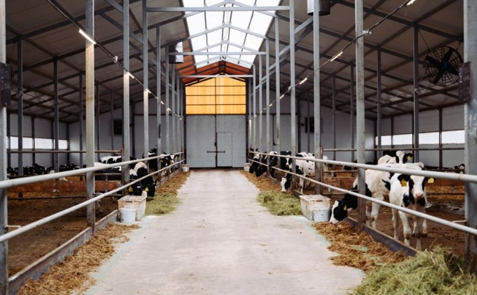 В Чувашии определены передовики молочного производства 