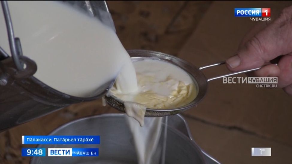 Республикӑра халӗ те ӗне ырри пӗҫересси йӑлара