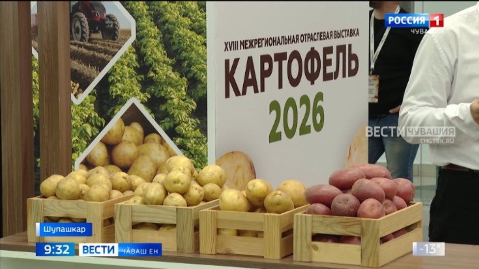 55 тонна ҫӗр улми вӑрлӑхӗ тата "иккӗмӗш ҫӑкӑртан" хатӗрленӗ 100 яхӑн тӗрлӗ апат