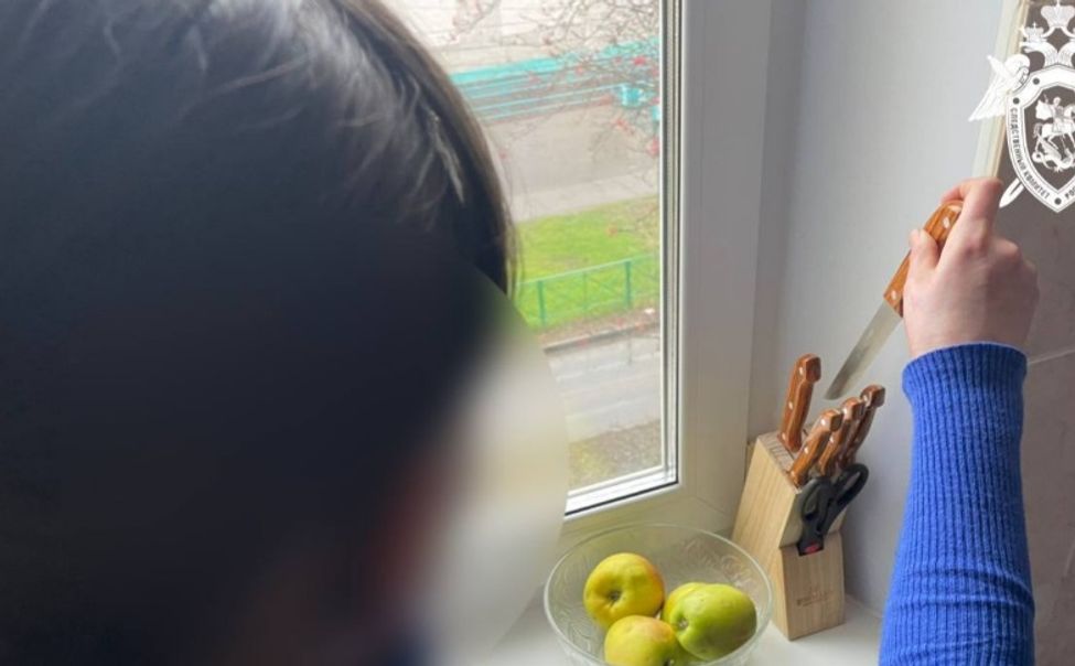 Жительницу Новочебоксарска признали виновной в убийстве супруга 