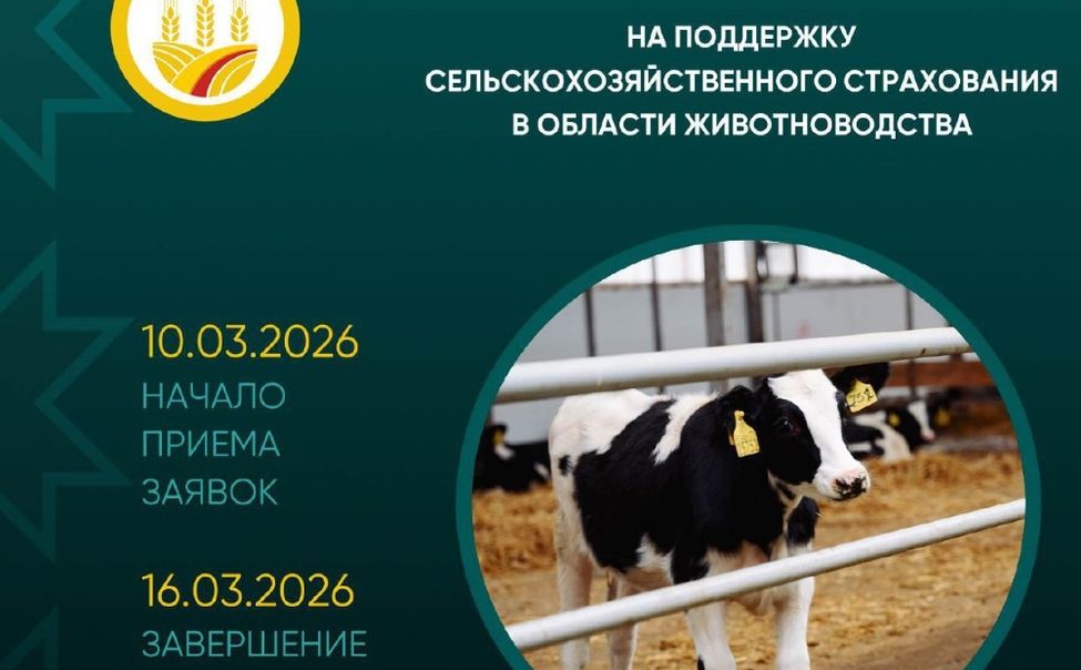 В Чувашии субсидируют животноводство