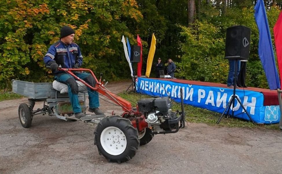 В 2025 году в экологических акциях Ленинского района Чебоксар приняло участие около 20 тыс человек