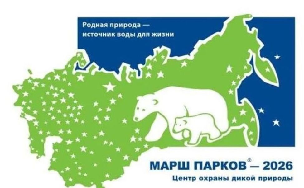 В Шемуршинском округе стартовал конкурс рисунка «Мир заповедной природы»