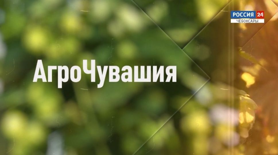 АгроЧувашия. Выпуск от 09.10.2020