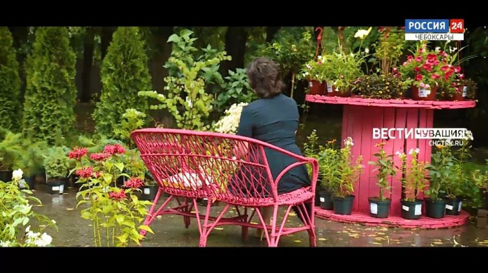 Женские лики. Вероника Беликова. Выпуск от 27.06.2021