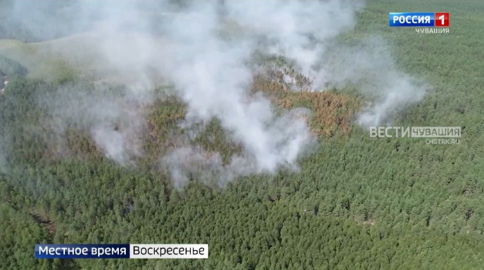 Местное время. Воскресенье. Выпуск от 15.08.2021