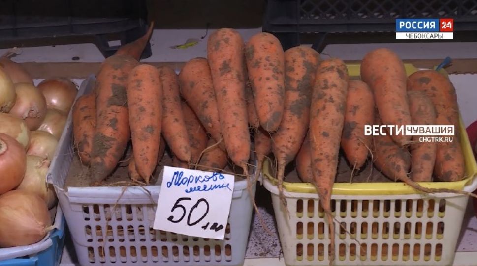 Неделя в городе. Выпуск от 29.08.2021