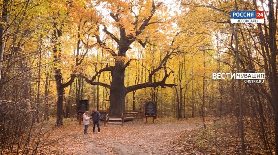 Открытый музей. Выпуск 23.10.2021. Моргаушский район