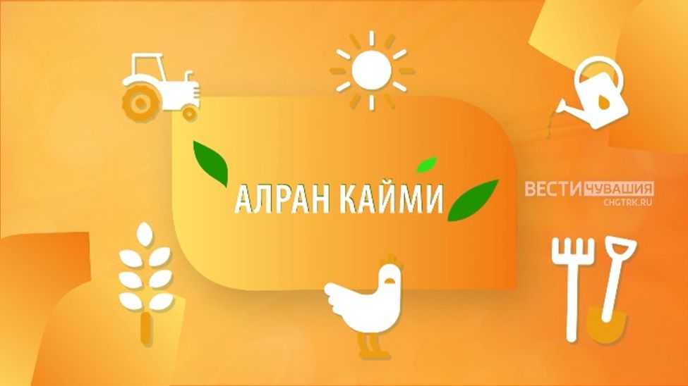 Алран кайми. Выпуск 03.05.2023