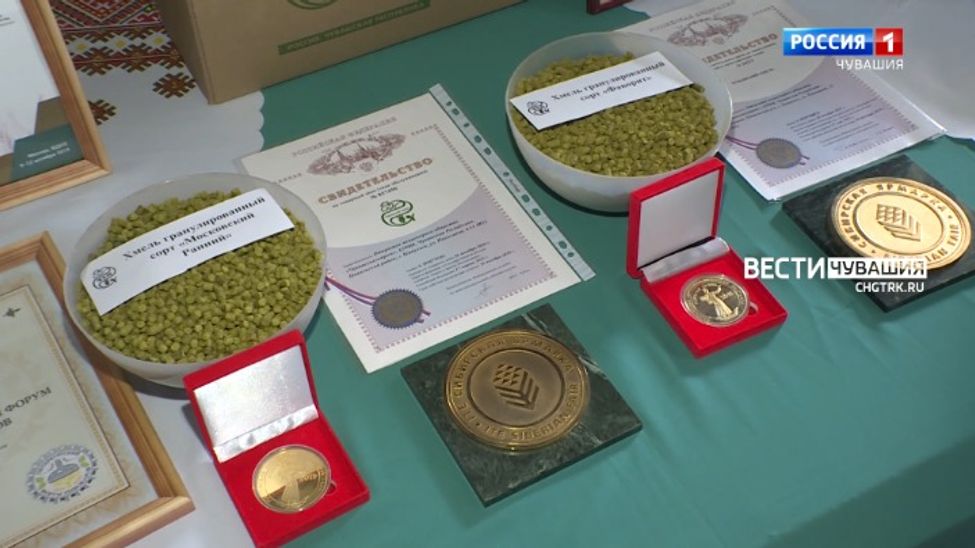 Алран кайми. Выпуск 01.06.2023