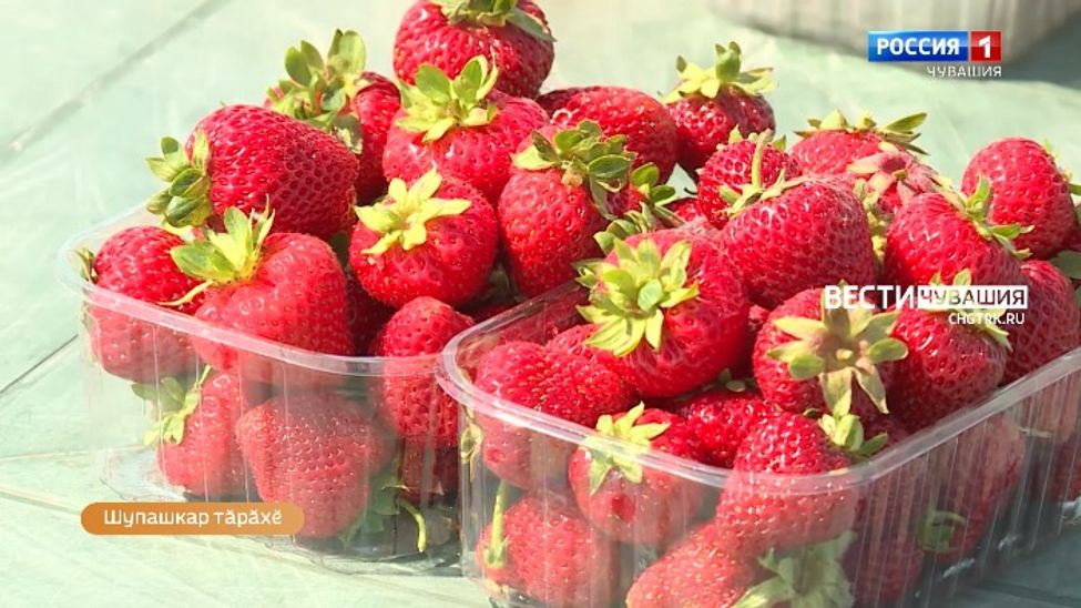 Алран кайми. Выпуск 13.07.2023