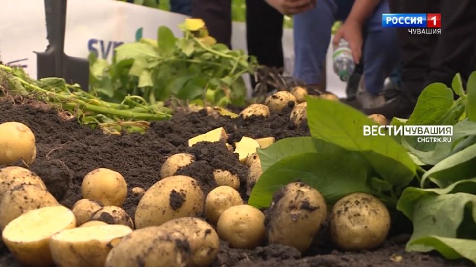 Алран кайми. Выпуск от 09.08.2023