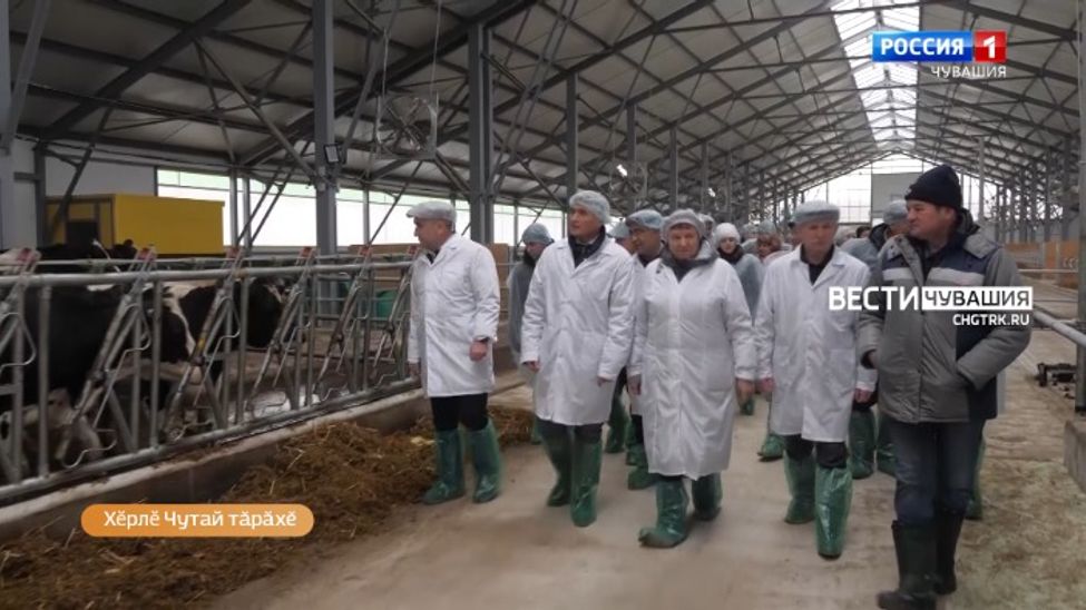 Алран кайми. Выпуск от 22.11.2023