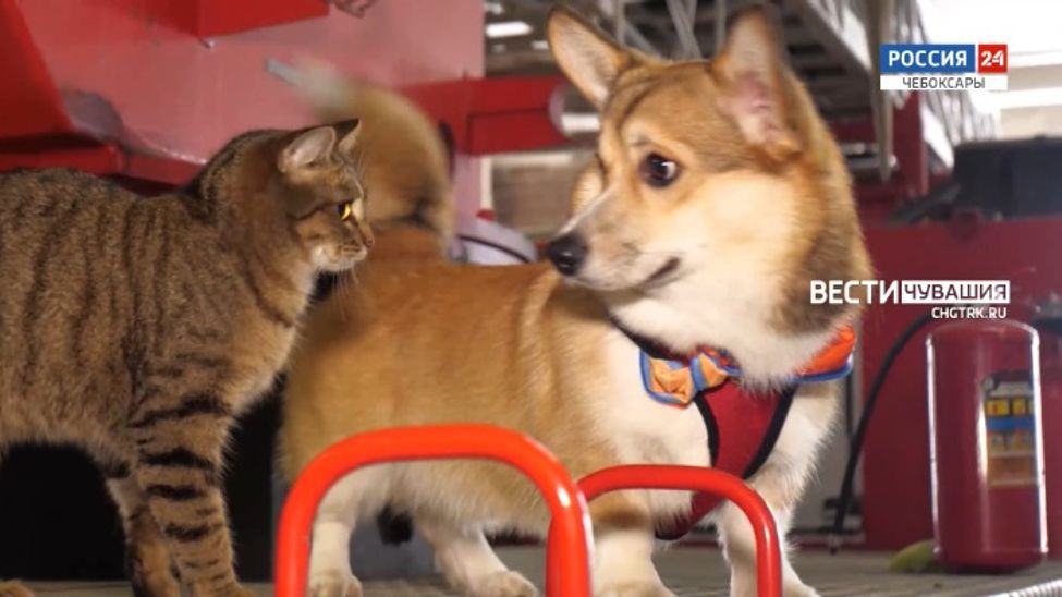 Неделя в городе. Эфир от 28.01.2024