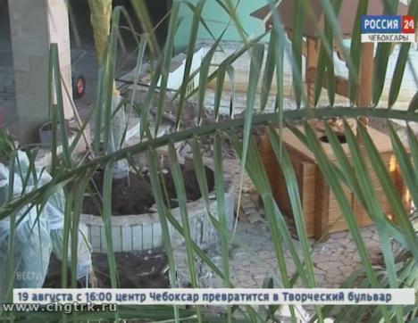Зимний сад Дворца детского и юношеского творчества готовится к обновлению Зимний сад Дворца детского и юношеского творчества готовится к обновлению