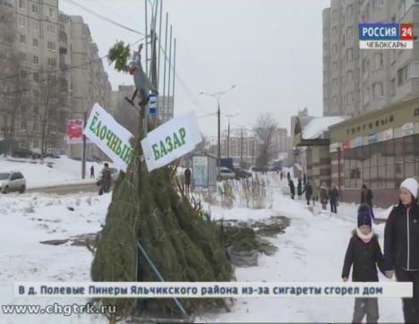 Где лучше купить живую елку: в Чебоксарах заработали елочные базары Где лучше купить живую елку: в Чебоксарах заработали елочные базары