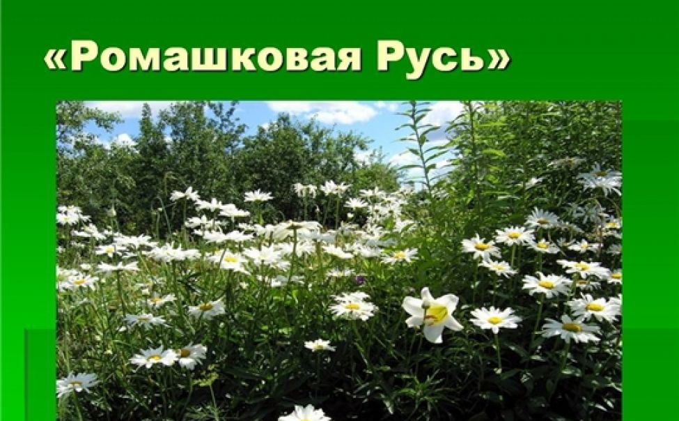 В Канаше стартовал III городской творческий фестиваль «Ромашковая Русь» В Канаше стартовал III городской творческий фестиваль «Ромашковая Русь»