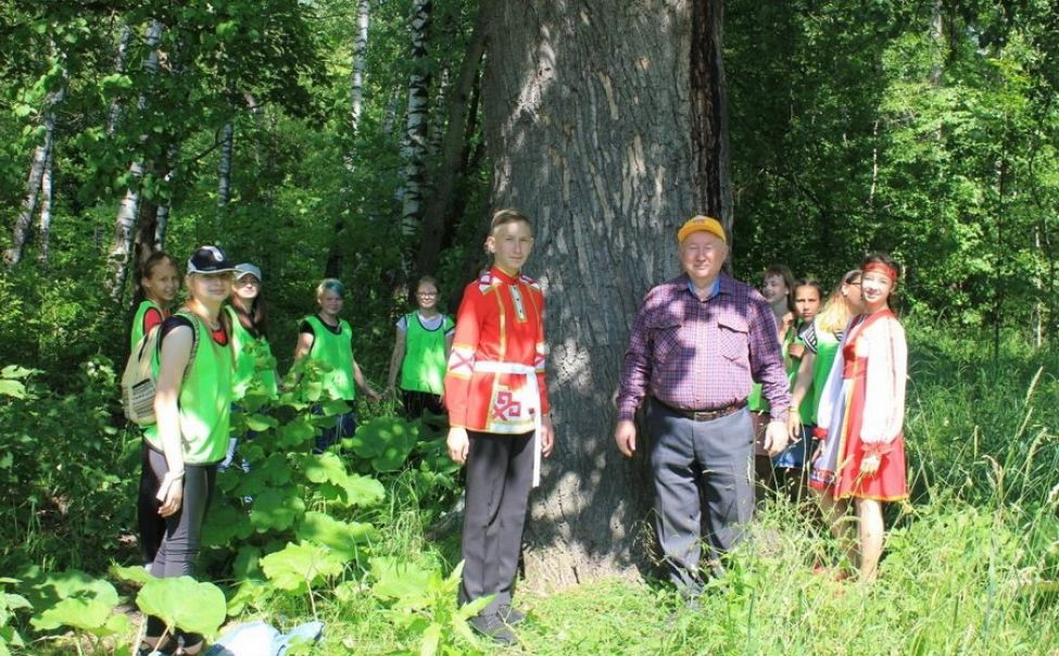 Городской парк шумерля