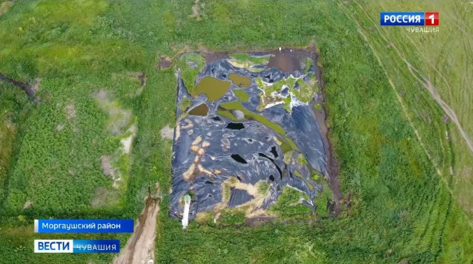 Прокуратура выявила в Моргаушском районе экологические нарушения Прокуратура выявила в Моргаушском районе экологические нарушения