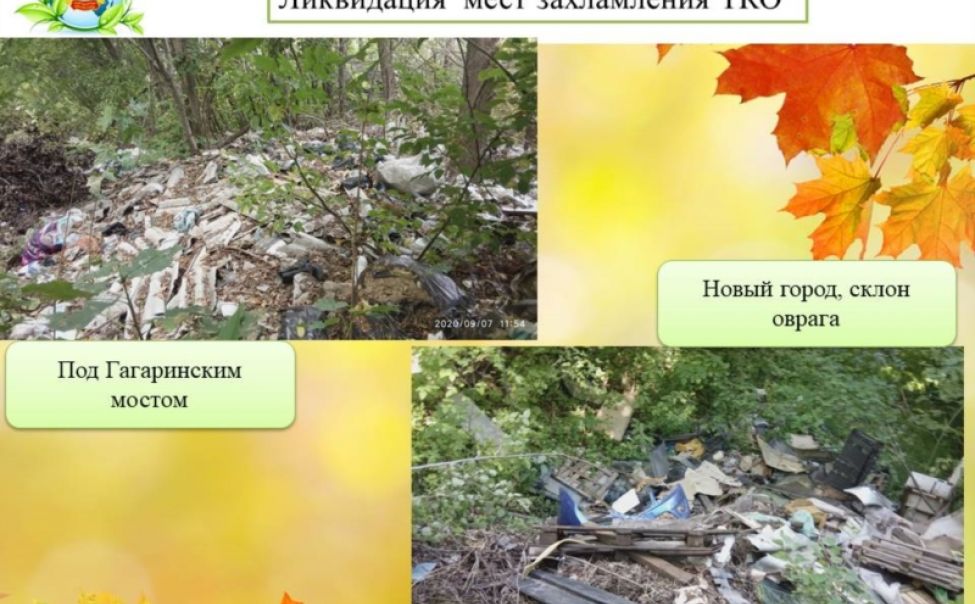 В Чебоксарах проходят осенние экологические мероприятия В Чебоксарах проходят осенние экологические мероприятия