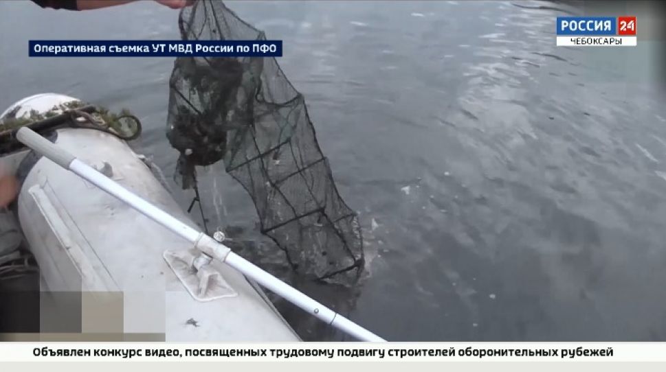 Браконьера из Нижегородской области осудили за ловлю раков на Суре Браконьера из Нижегородской области осудили за ловлю раков на Суре