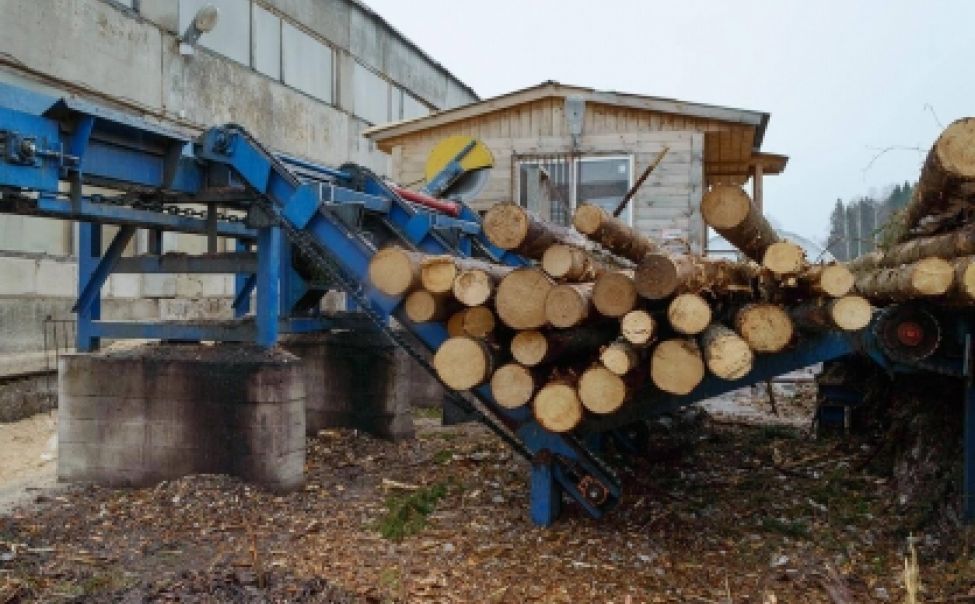 Замдиректора шумерлинсой лесопилки заплатит штраф за ЧП на производстве