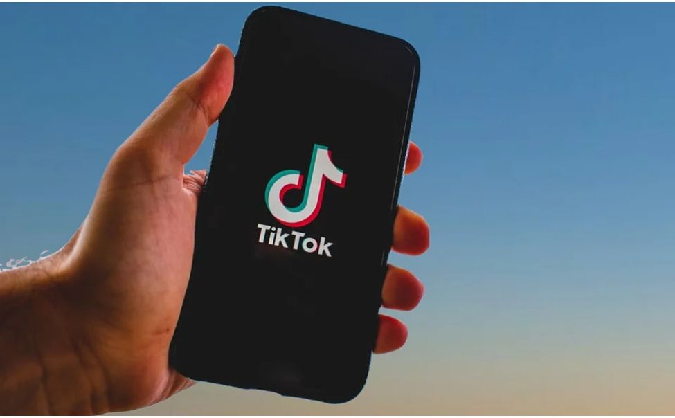 Избирком Чувашии завел аккаунт в TikTok