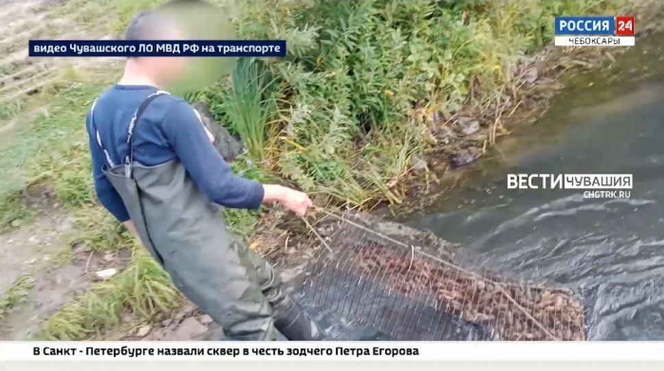 Житель Ядрина незаконно вылавливал раков ради выплаты алиментов бывшей супруге Житель Ядрина незаконно вылавливал раков ради выплаты алиментов бывшей супруге
