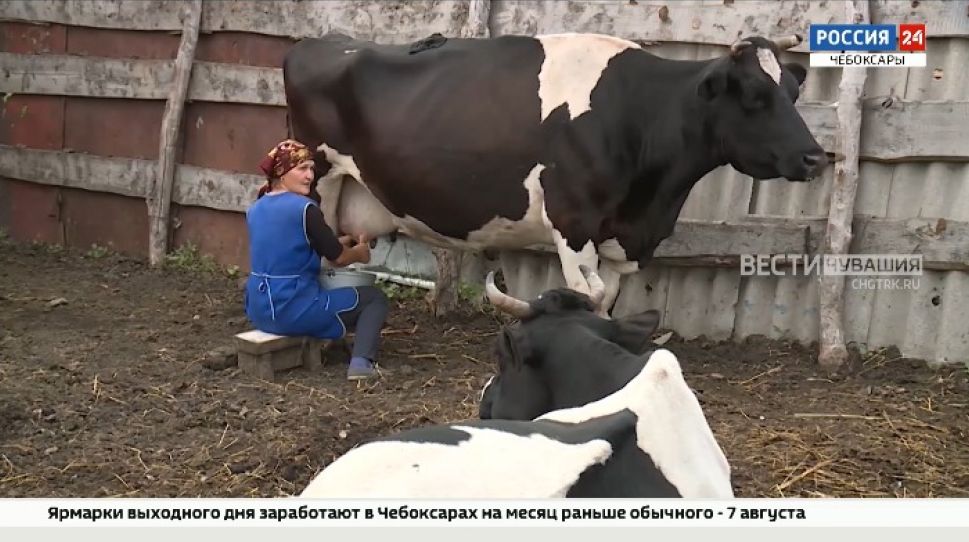 В Чувашии стартовала первая сельскохозяйственная микроперепись В Чувашии стартовала первая сельскохозяйственная микроперепись