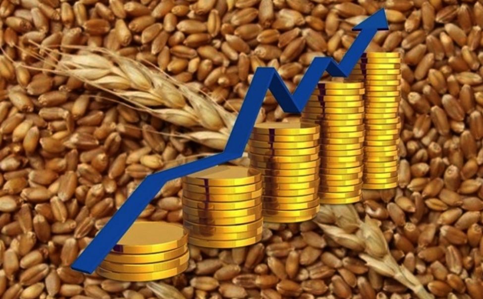 Следствием роста цен на зерно станут ситуации, связанные с увеличением