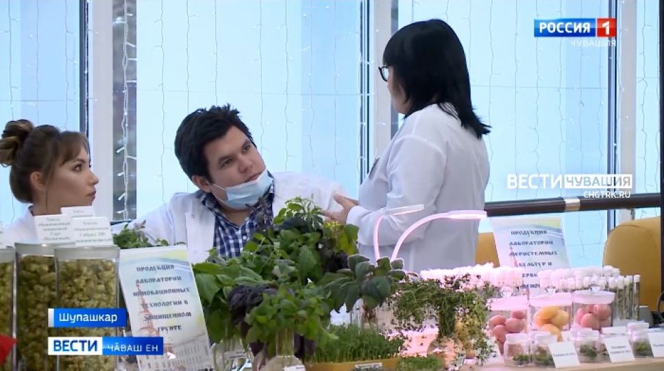 Чӑваш патшалӑх аграри университечӗ 90 ҫул тултарчӗ Чӑваш патшалӑх аграри университечӗ 90 ҫул тултарчӗ