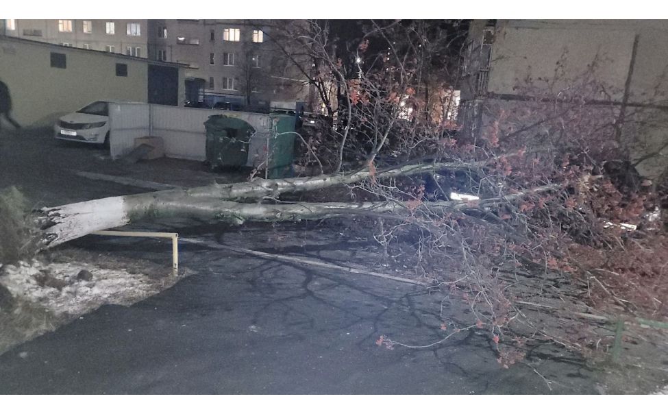Оборвал провода машиной