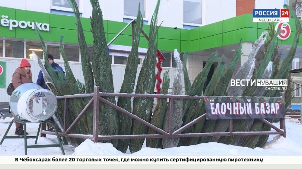 В Чебоксарах до 31 декабря включительно будут работать елочные базары В Чебоксарах до 31 декабря включительно будут работать елочные базары